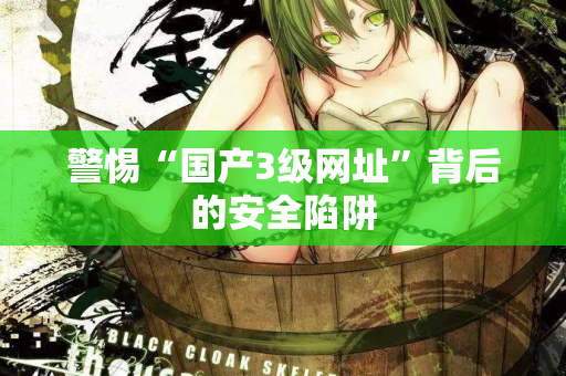 警惕“国产3级网址”背后的安全陷阱  第1张