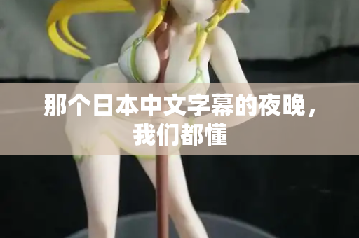 那个日本中文字幕的夜晚，我们都懂