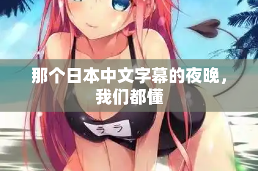 那个日本中文字幕的夜晚，我们都懂
