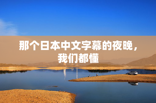 那个日本中文字幕的夜晚，我们都懂