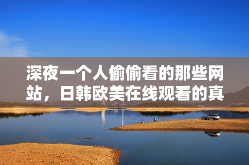 深夜一个人偷偷看的那些网站，日韩欧美在线观看的真实体验