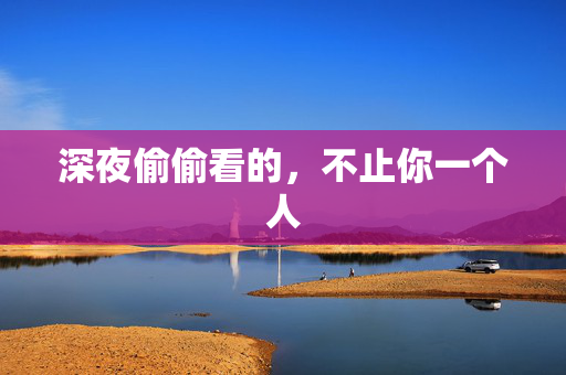 深夜偷偷看的,不止你一个人 第3张 深夜偷偷看的,不止你一个人 第3张