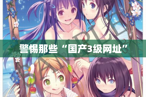 警惕那些“国产3级网址”