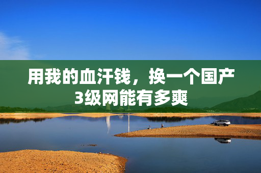 用我的血汗钱，换一个国产3级网能有多爽  第2张