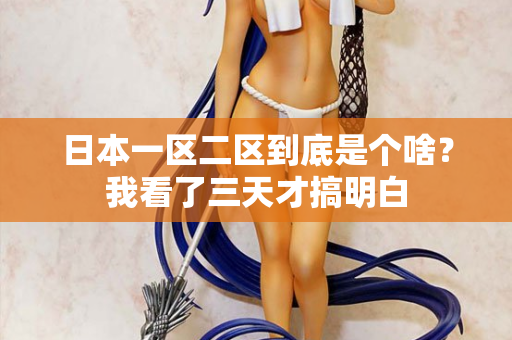 日本一区二区到底是个啥?我看了三天才搞明白 第2张 日本一区二区到底是个啥?我看了三天才搞明白 第2张
