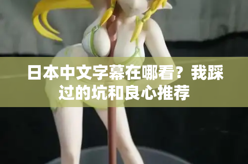 日本中文字幕在哪看？我踩过的坑和良心推荐