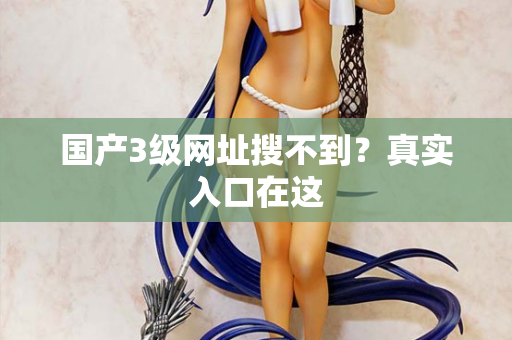 国产3级网址搜不到？真实入口在这