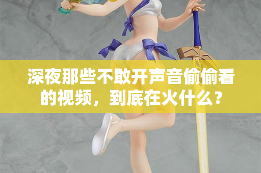 深夜那些不敢开声音偷偷看的视频，到底在火什么？