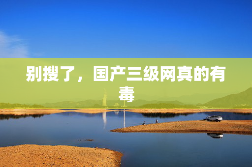 别搜了，国产三级网真的有毒
