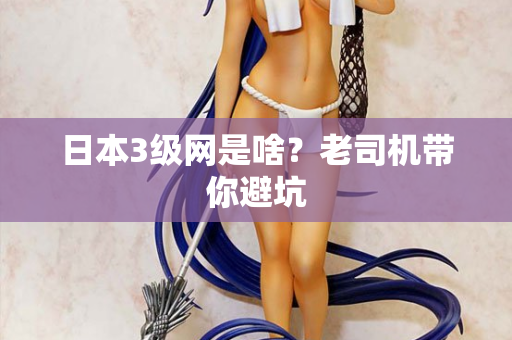 日本3级网是啥？老司机带你避坑  第1张