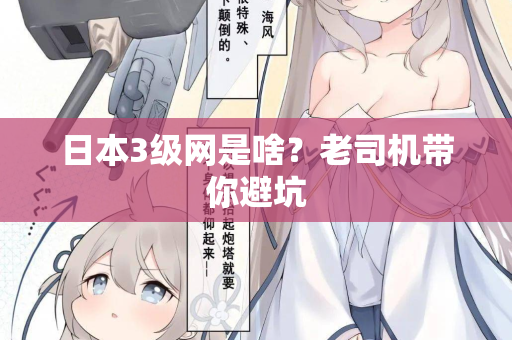 日本3级网是啥？老司机带你避坑  第2张