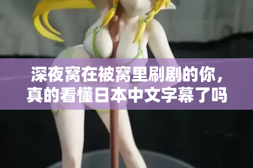 深夜窝在被窝里刷剧的你，真的看懂日本中文字幕了吗