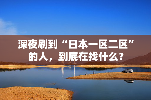 深夜刷到“日本一区二区”的人，到底在找什么？