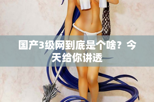 国产3级网到底是个啥？今天给你讲透