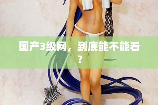 国产3级网，到底能不能看？