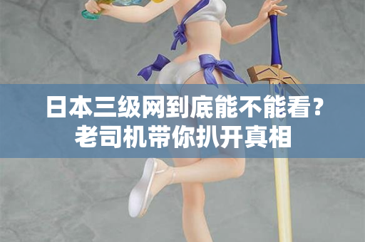 日本三级网到底能不能看？老司机带你扒开真相  第2张