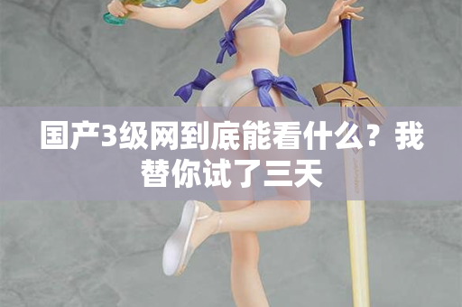 国产3级网到底能看什么？我替你试了三天