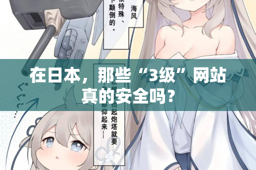 在日本，那些“3级”网站真的安全吗？