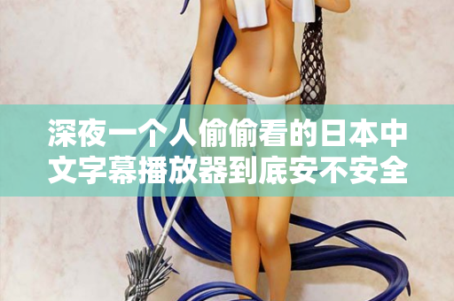 深夜一个人偷偷看的日本中文字幕播放器到底安不安全？  第2张