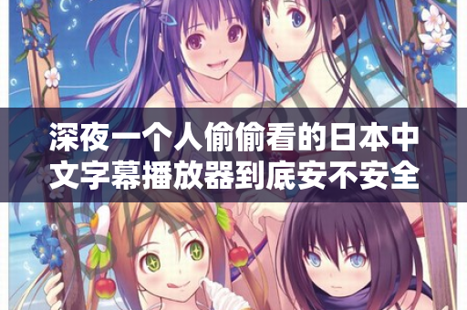 深夜一个人偷偷看的日本中文字幕播放器到底安不安全？  第3张