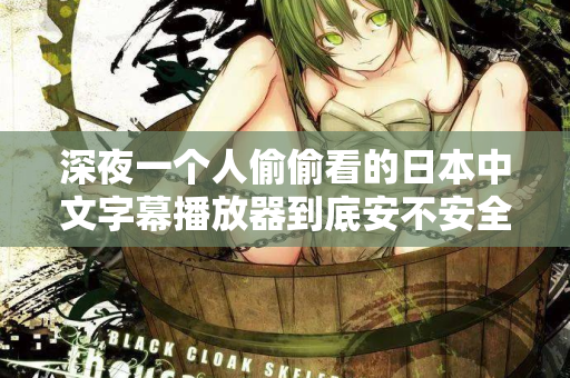 深夜一个人偷偷看的日本中文字幕播放器到底安不安全？