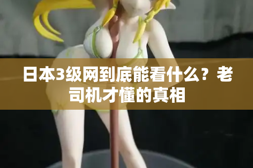 日本3级网到底能看什么？老司机才懂的真相