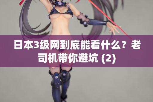 日本3级网到底能看什么？老司机带你避坑 (2)