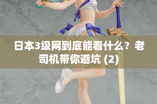 日本3级网到底能看什么？老司机带你避坑 (2)